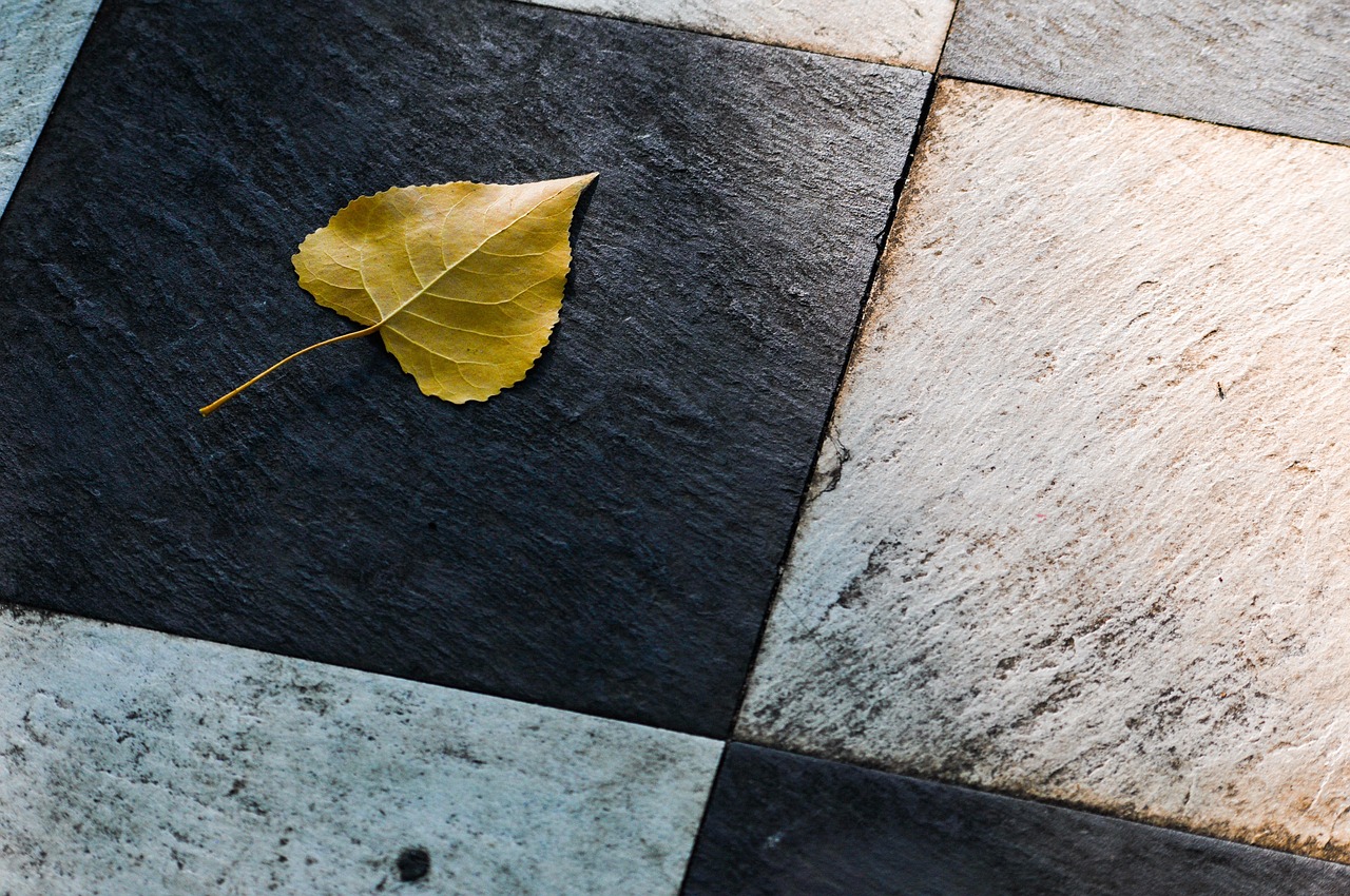 Comment coller du carrelage ?