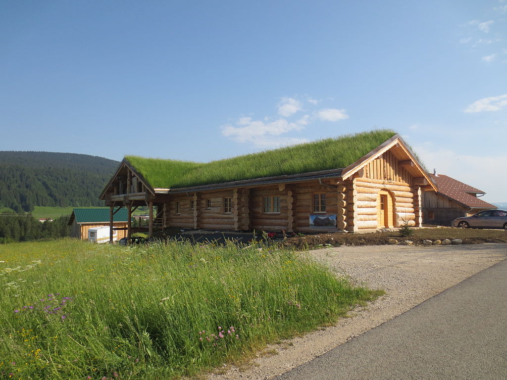 Les différents types de toiture végétalisée