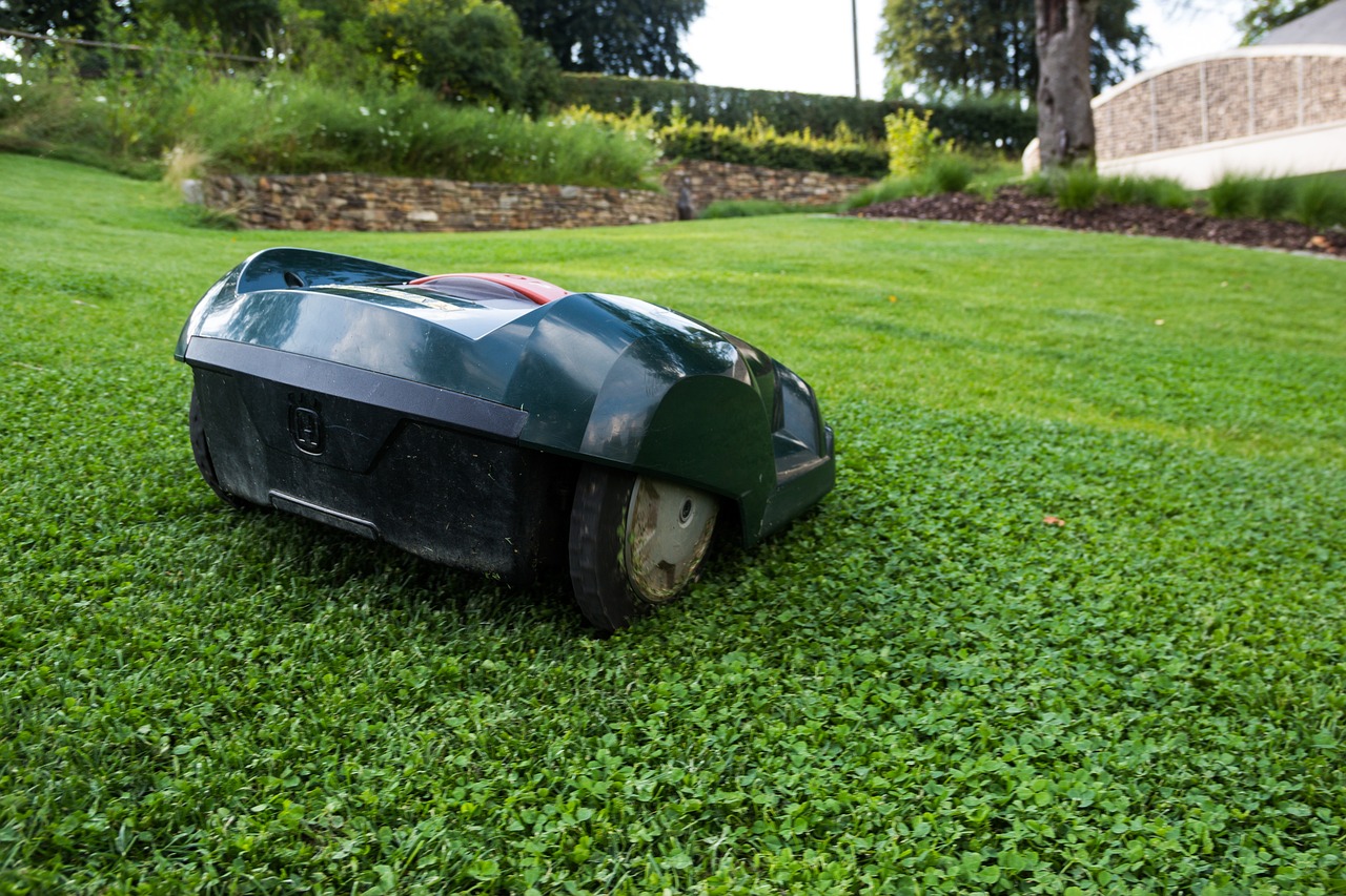 Acheter un robot tondeuse pour sa pelouse (utilisation, options, marques, prix)
