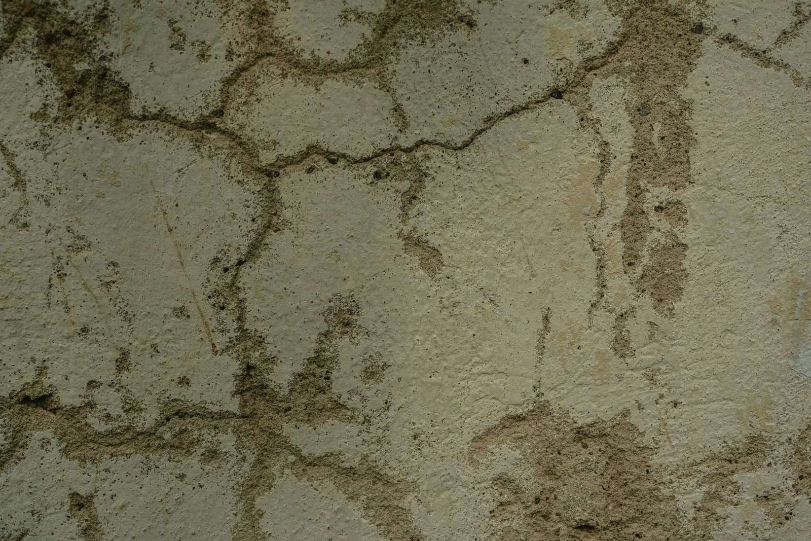 Mur humide par temps de pluie : comprendre et agir