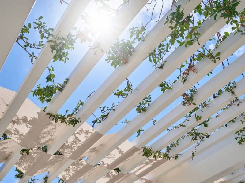 Pergolas et protections solaires : aménagez votre extérieur avec&nbsp;style
