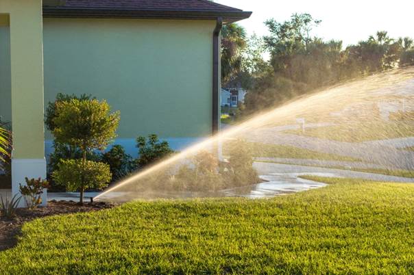 Les techniques d’arrosage intelligentes pour un jardin durable