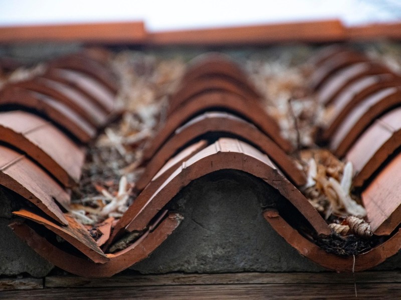 Maisons dans le Sud de la France : comment entretenir son toit&nbsp;?