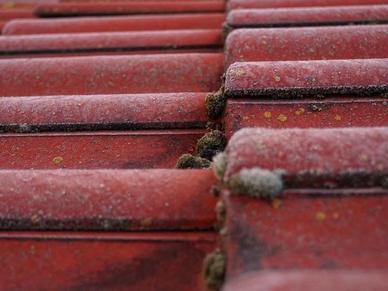 Tuiles mécaniques : comment les entretenir au fil du temps&nbsp;?