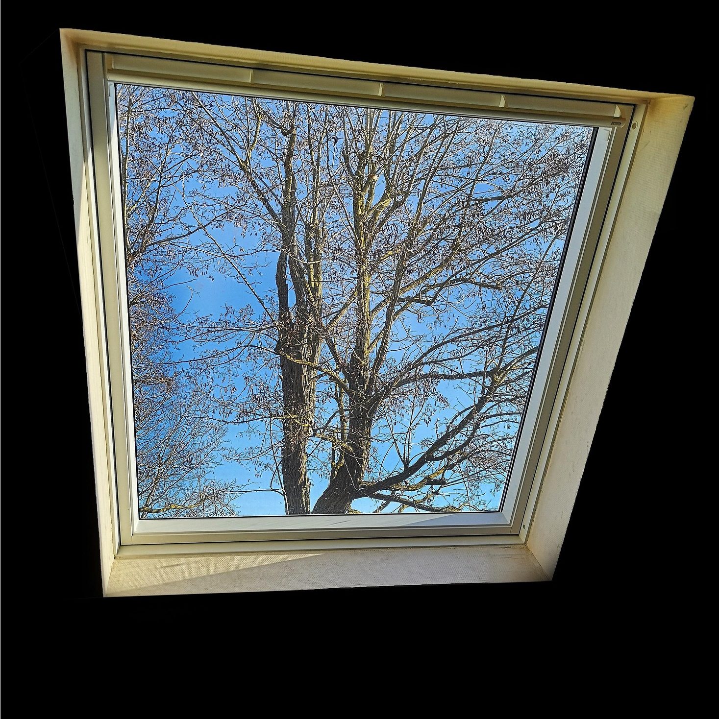 Fuite sur Velux abergement zinc